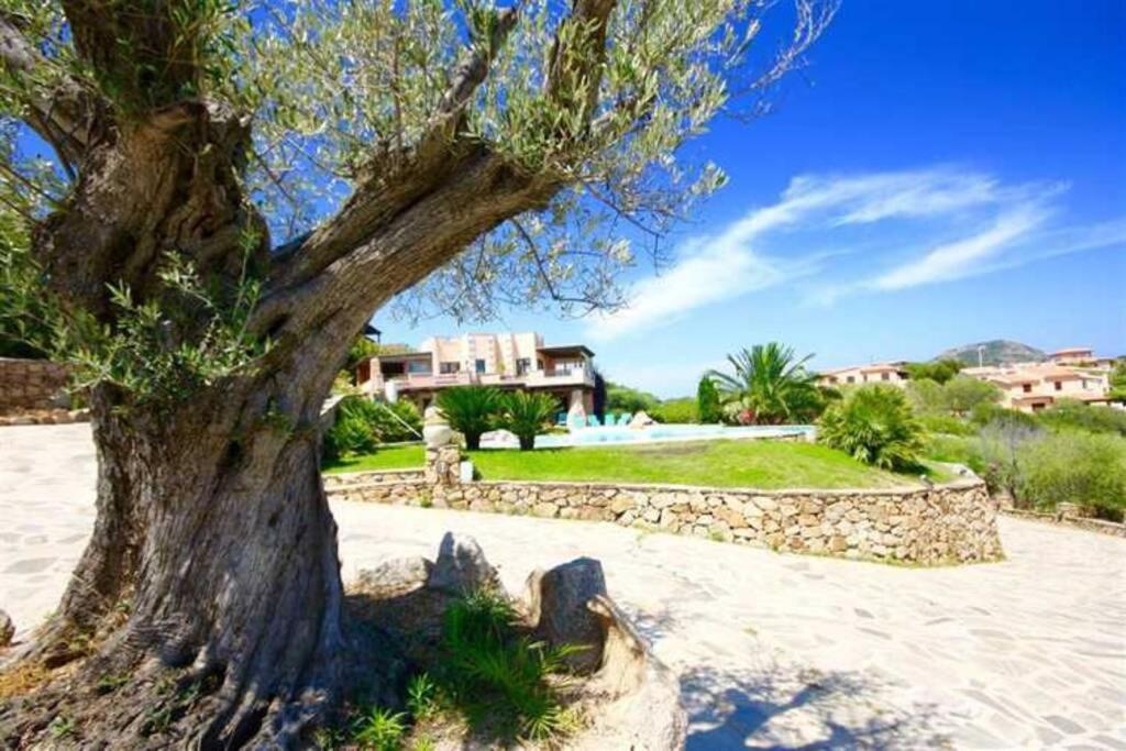 Villa And Pool Tavolara View Porto Istana 외부 사진